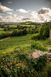 Scenic view of field against cloudy sky