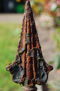 Close-up of rusty metal