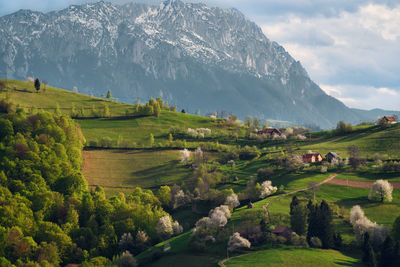 Scenic view of landscape and mountains against sky