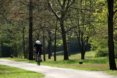 Man riding bicycle against trees