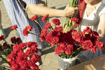 Red carnations in a vase. flowers on the street. festive flowers in summer. many plants in one pot.