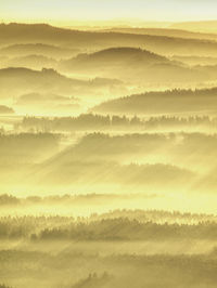 Aerial view of colorful mixed forest shrouded in morning fog on a beautiful autumn day