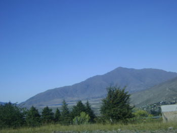 Scenic view of field against clear blue sky