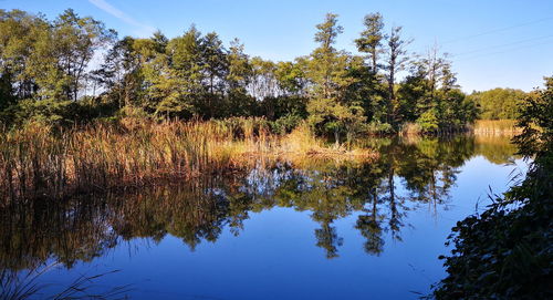 Reflection of trees in lake against sky