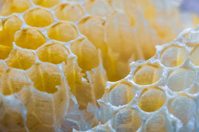 Detail of honeycomb