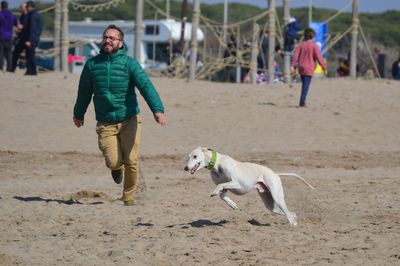 Rear view of man walking with dog on beach