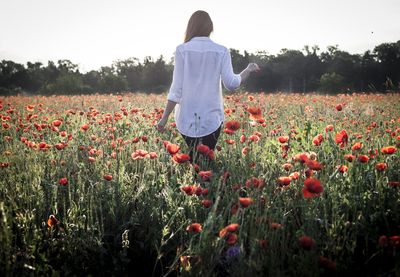 Rear view of person standing on field