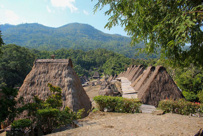 Bena traditional village