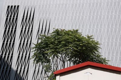 Low angle view of tree and building against sky