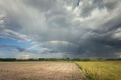 Scenic view of field against sky