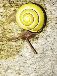 Close up of objects on wall
