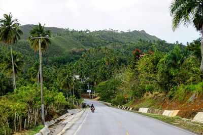 Road amidst trees and plants against sky