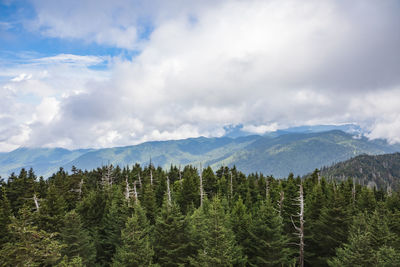 View from clingmans dome observation tower on nc - tn border at great smoky mountains national park