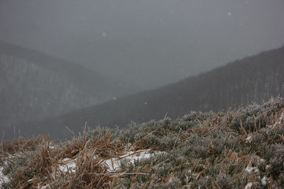 Scenic view of snow covered land