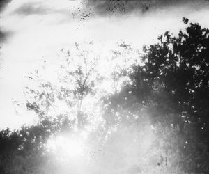 Low angle view of trees against sky