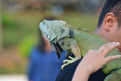 Close-up of man with iguana 