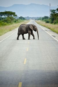 Road passing through landscape