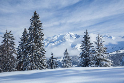Snow covered land against sky