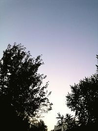 Low angle view of silhouette trees against blue sky