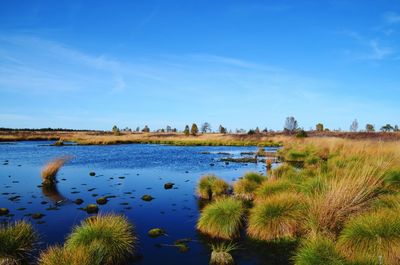 Scenic view of lake against sky