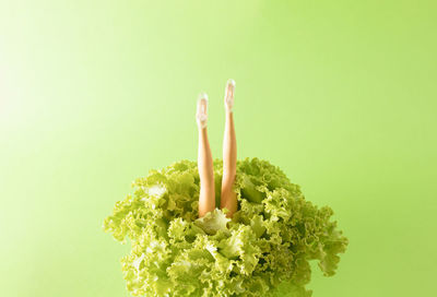 Minimal composition with doll legs in lettuce with green background creative healthy life concept