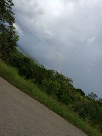 Road by trees against sky