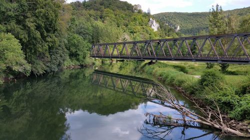 Bridge over stream amidst trees