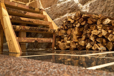 Stack of logs in forest