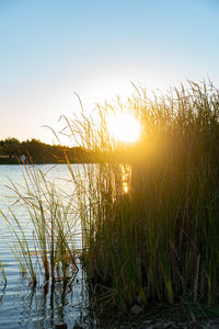 Scenic view of lake against sky during sunset