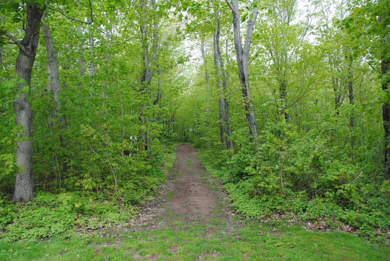 Cavendish, Prince Edward Island