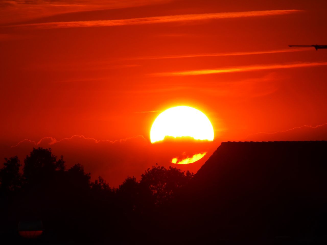 SCENIC VIEW OF SILHOUETTE TREES AGAINST ORANGE SKY