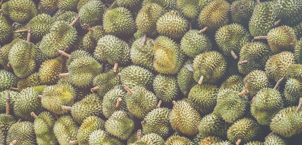 Full frame shot of durians for sale
