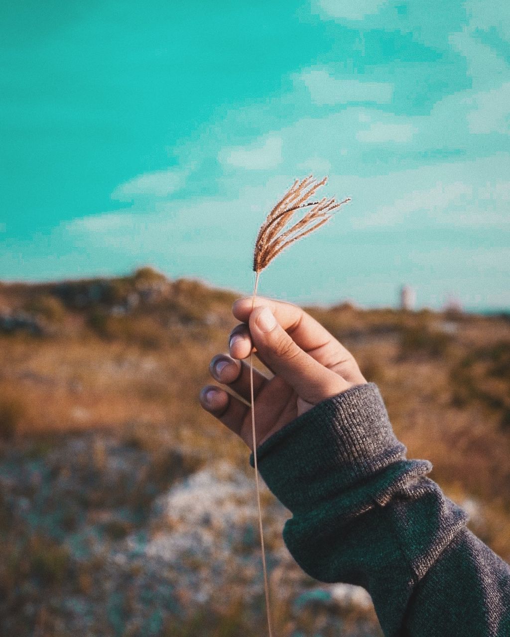 CLOSE-UP OF PERSON HOLDING UMBRELLA