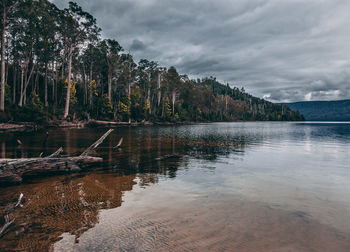 Reflection of trees in lake against sky