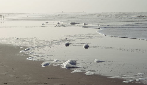 Birds swimming in sea against sky