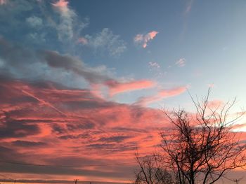 Low angle view of silhouette trees against dramatic sky