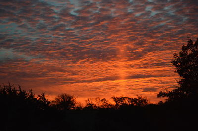 Silhouette trees against dramatic sky during sunset