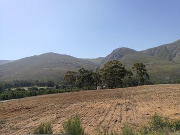 Scenic view of landscape against clear sky