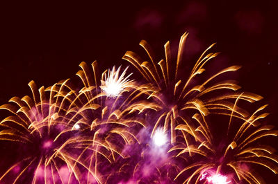 Low angle view of firework display at night