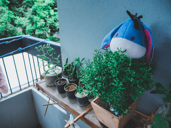 High angle view of potted plants in yard