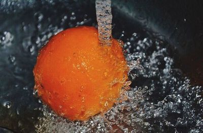 High angle view of orange in water