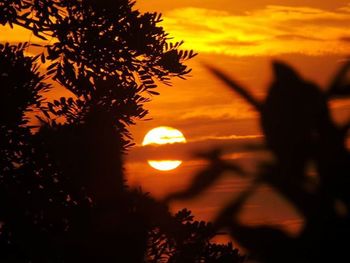 Silhouette of trees at sunset