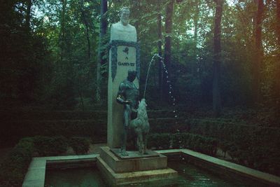 Statue on tree in forest