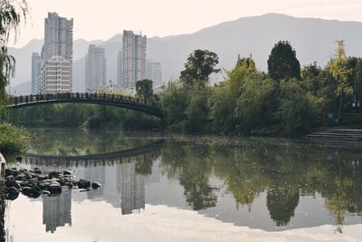 Reflection of trees and buildings in lake