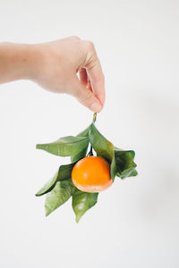 A hand holds an orange with leaves against a white background