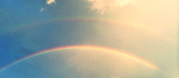 Low angle view of rainbow over trees