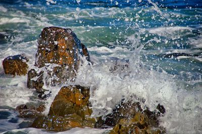 Close-up of waves splashing on rocky shore