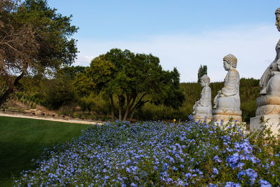 Statue of flowering plants by trees against sky