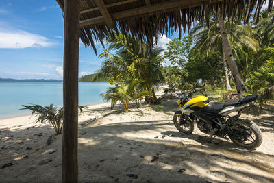Palm trees on beach against sky