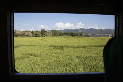 View from scenic train of green rice terraces under blue sky, myanmar